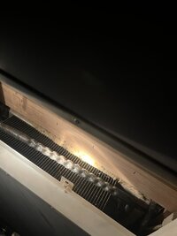 IMG_3987.jpeg